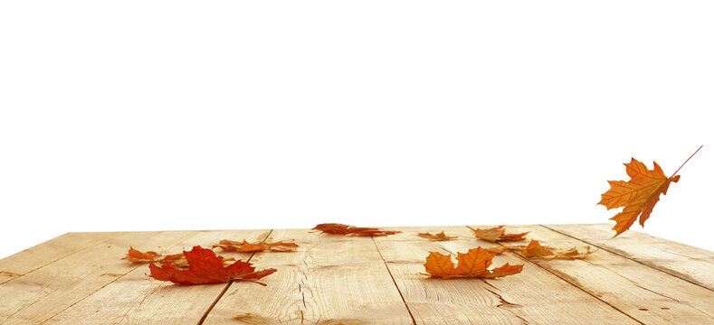 Autumn maple leaves on wooden table. Autumn Product podium isolated