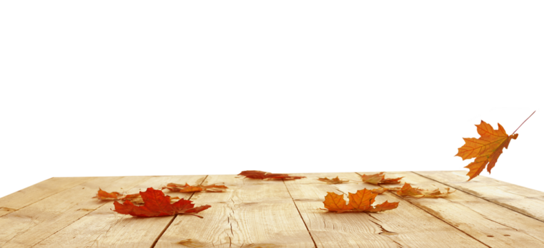 Autumn maple leaves on wooden table. Autumn Product podium isolated - Powered by Adobe