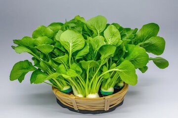 Freshly harvested leafy greens in a woven basket.