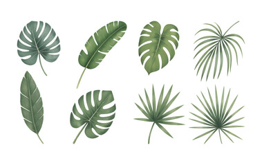 Watercolor jungle leaves bundle for textile and surface design. Exotic botanical foliage collection isolated on white background.