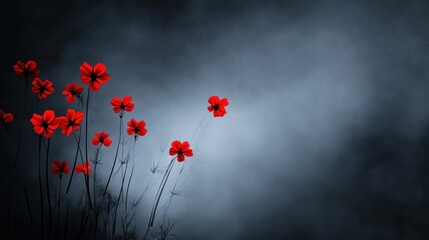 Obraz premium Red flowers on moody gray background