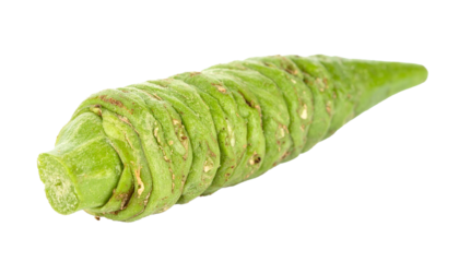 Wasabi, root, vegetable, isolated, white, background, fresh, natural, spicy, green, Japanese, condiment, cooking, flavor, paste, horseradish, organic, healthy, ingredient, raw, cuisine, culinary, arom