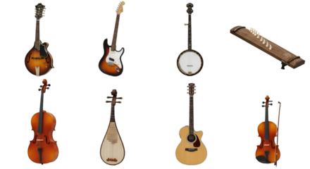 Assortment of Stringed Musical Instruments