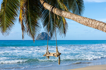 Tropical Palm Tree With Swing