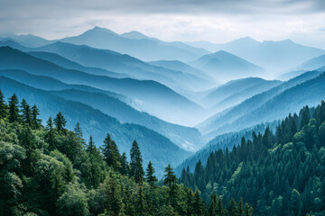 Misty blue mountain ranges layered with dense evergreen forests under cloudy sky creating a serene and tranquil natural landscape view in early morning light