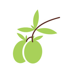 Stylized olive branch and leaf icons for nature and healthy food designs