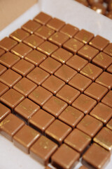 Luxury milk chocolates with golden details in a neat grid, gourmet artisan sweets