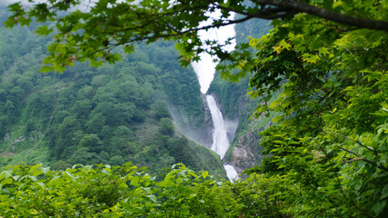 歩く立山黒部アルペンルート八郎坂から夏景色称名滝