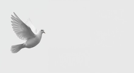Fototapeta premium White dove flying in the sky against a light background 