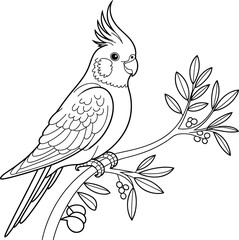 Cockatiel Bird on Tree Branch Line Art, Hand Drawn Parrot Illustration, Tropical Bird Coloring Page, Printable Vector Design for Kids