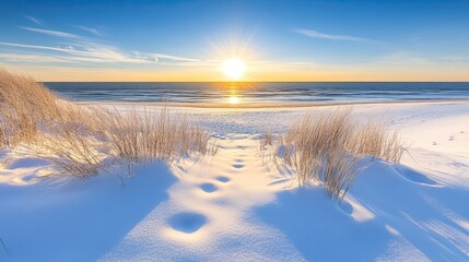 Winter beach sunset with snow and dune grass