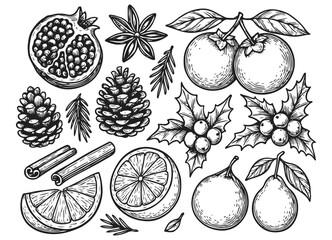 Hand drawn Christmas fruit pinecone cinnamon and holly collection isolated on transparent background, generative ai