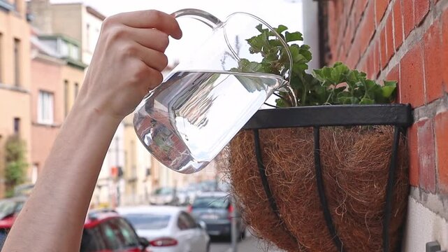 One man waters flowers in an eco-pot on a city street.