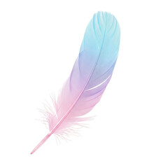 Pastel Pink and Blue Bird Feather Isolated on White Background,gradient,light
