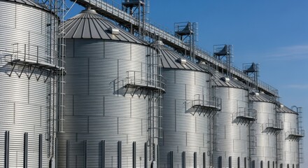 Obraz premium Medium shot of tall metal barley storage silos under clear blue sky highlighting their sleek reflective surfaces and industrial design.