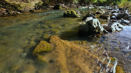 水がきれいな渓流