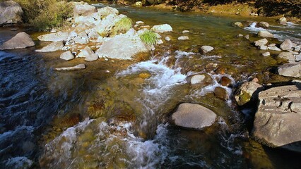 水がきれいな渓流