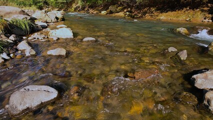 水がきれいな渓流