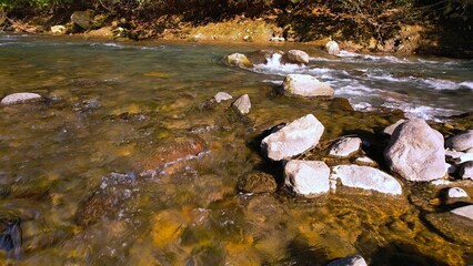 水がきれいな渓流