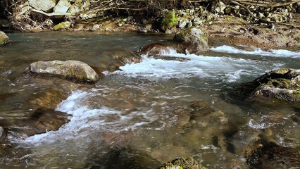 水がきれいな渓流