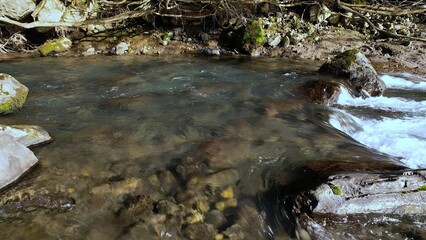 水がきれいな渓流