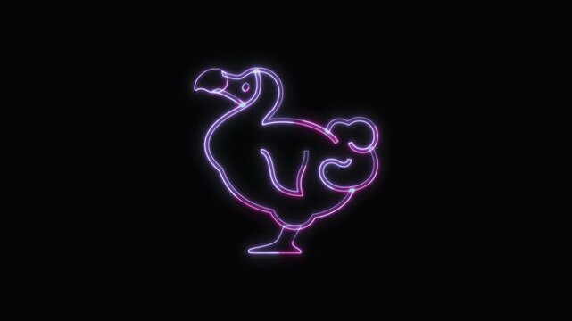 Dodo Animal Icon Neon Seamless Loop 4K with Black Background Animated Promotional Typography for Video Editing