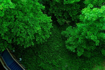 Green space from above