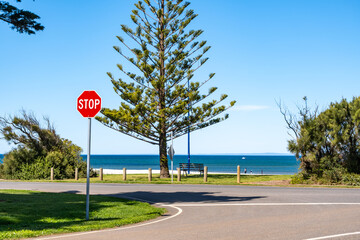 Stop sign at coastal roadside in Werribee South, Melbourne, Victoria, Australia, with pine tree, ocean horizon, and blue summer sky. Concept of road safety, seaside travel, and suburban environment.