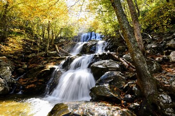 Lush Waterfall in Autumn