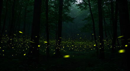 A dark forest filled with glowing fireflies, creating a magical and enchanting night atmosphere
