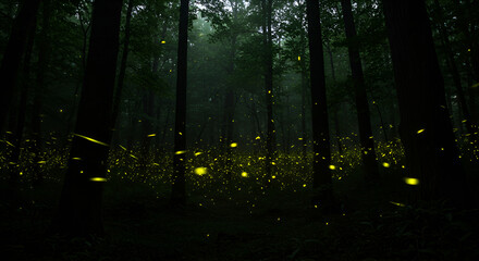 A dark forest filled with glowing fireflies, creating a magical and enchanting night atmosphere