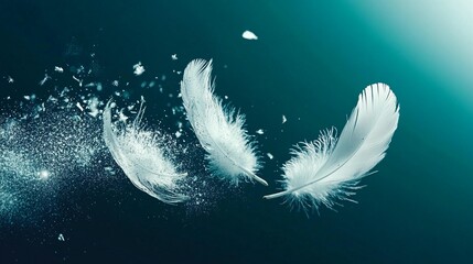 Floating Feathers: A Dreamlike Image