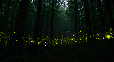 A dark forest filled with glowing fireflies, creating a magical and enchanting night atmosphere