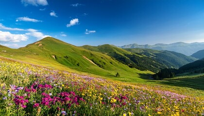 Fototapeta premium A Spellbinding Display Of Nature S Beauty Vibrant Wildflowers Blanketing Rolling Hills Under A Clear Blue Sky With Generative Ai