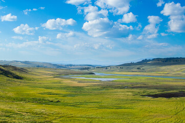 Obraz premium Hayden Valley in Yellowstone National Park