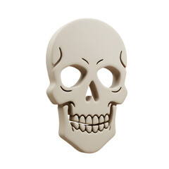 Anatomical Skull Model with Distinctive Brow Ridges and Full Dentition.