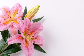 Naklejka premium Close-up of a bouquet of pink lilies.