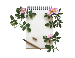 blog, libreta de apuntes, cuaderno, papel sobre fondo transparente 