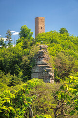 Belfry of Scharfenberg Castle, located on rocky hilltops in the palatinate Forst near Annweiler, Rhineland-Palatinate, Germany