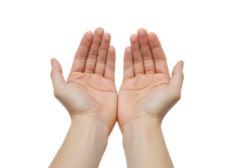Open hands held upwards in gesture of giving or receiving, isolated on white background