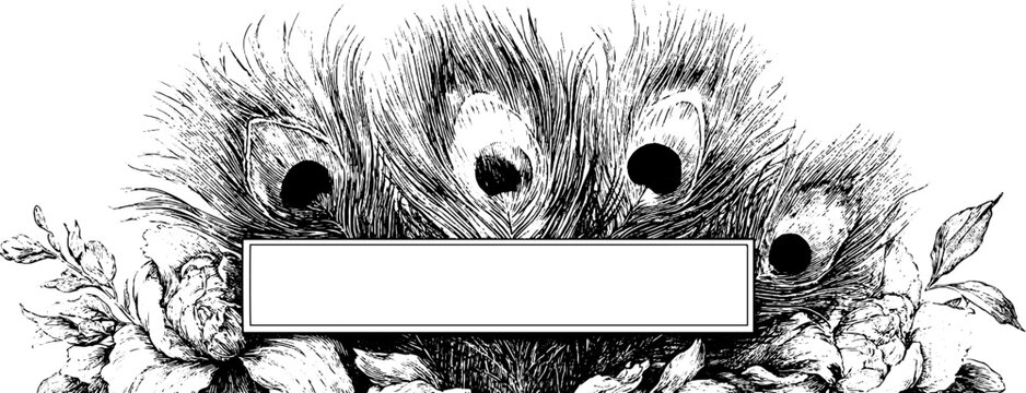 Ornamental vintage frame with peacock feathers and floral design for decorative banner