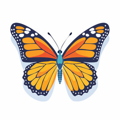Fototapeta premium Monarch Butterfly With Open Wings On White Background