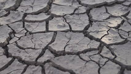 Dry cracked soil of desert in hot summer. Heat climate change, drought concept. Water shortage in agriculture. Drought fertile soil. Nature texture background. Barren arid landscape. Dry soil erosion