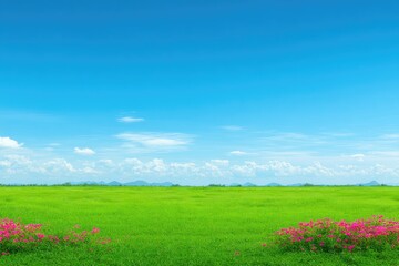 Lush green field under a vibrant blue sky.