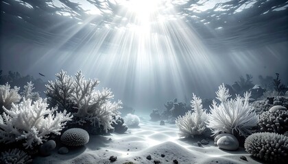 Underwater coral reef scene