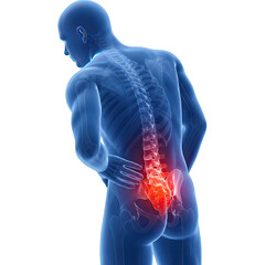 Detailed 3D Render of Human Anatomy Showing Lower Back Pain with Transparent Background Ideal for Medical Illustration, Healthcare Website