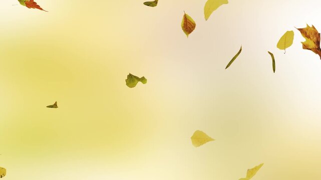 Falling Autumn Leaves Background Seamless Loop