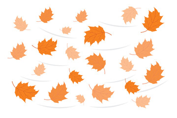 Fototapeta premium Autumn falling leaves illustration with orange and beige maple leaves blowing in the wind on white background. Seasonal fall vector design.