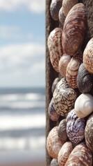 Close Up Of Colorful Sea Shells Displayed Vertically
