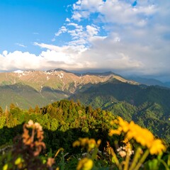 Mountain vista with wildflowers (2)